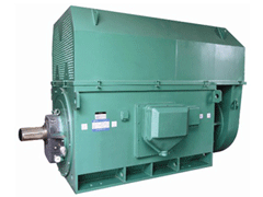 YJTFKK6302-8-1000KWY系列6KV高压电机