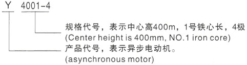 西安泰富西玛Y系列(H355-1000)高压YJTFKK6302-8-1000KW三相异步电机型号说明